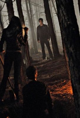 normal_1x13-026
